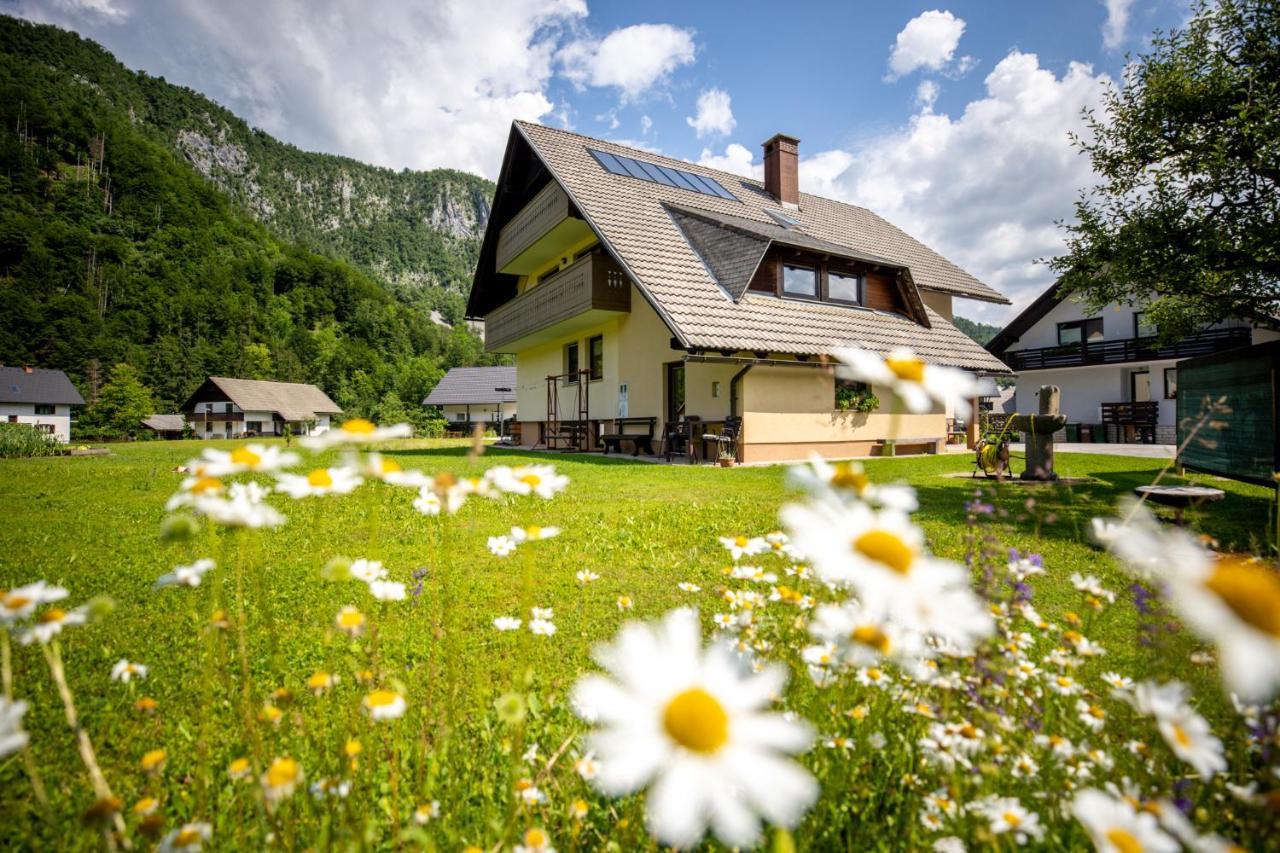 Apartments Darinka Mencinger Bohinj Exterior foto
